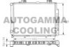 AUTOGAMMA 100554 Radiator, engine cooling